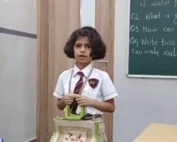 Std II August 2024 Activities